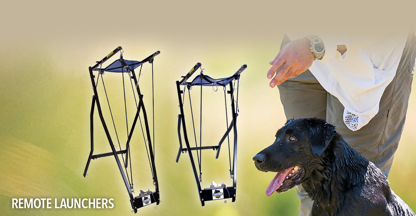 Gunners Up Dog Ramp Gunners Up - Hunting Dog Training Equipment