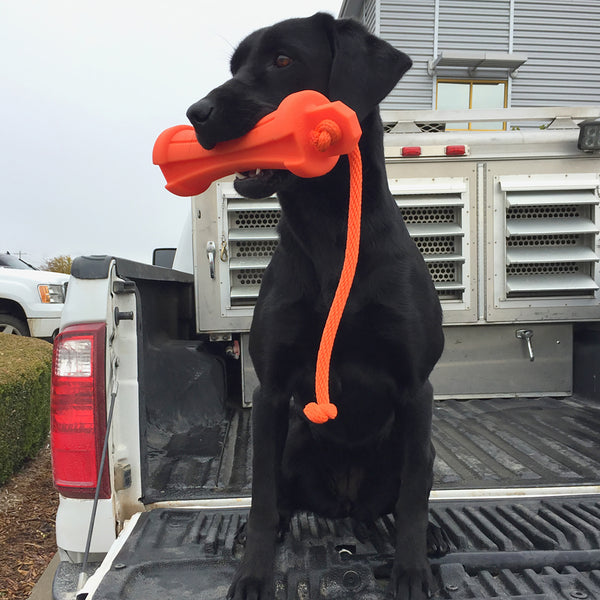 Gunners Up - Hunting Dog Training Equipment