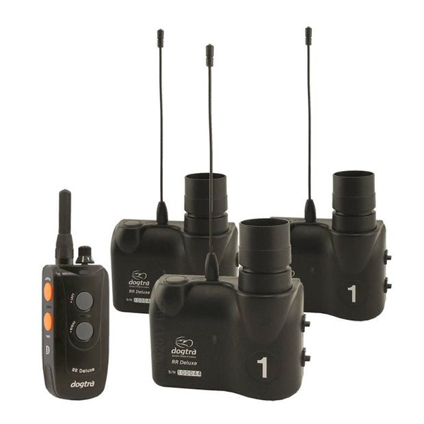 Gunners Up Dog Ramp DOGTRA Transmitter & One Remote Receiver – Gunners Up